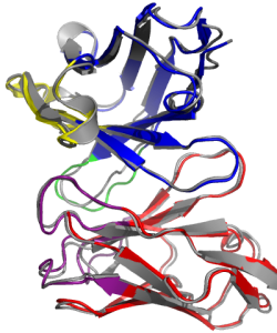 macromoltek